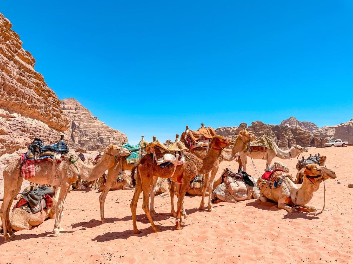 Rum Jordan Camp And Tours Hotel Wadi Rum Luaran gambar